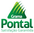 Logo Site
